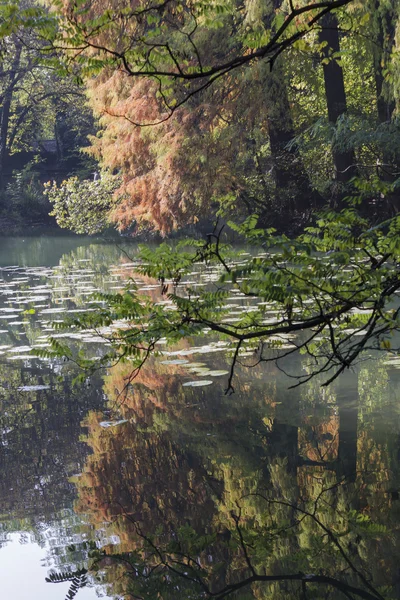 Reflexão sobre lagoa no outono — Fotografia de Stock