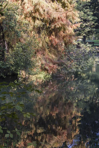 Refleksji nad stawem w jesieni — Zdjęcie stockowe