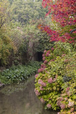 sonbaharda Nehri üzerinde yansıma