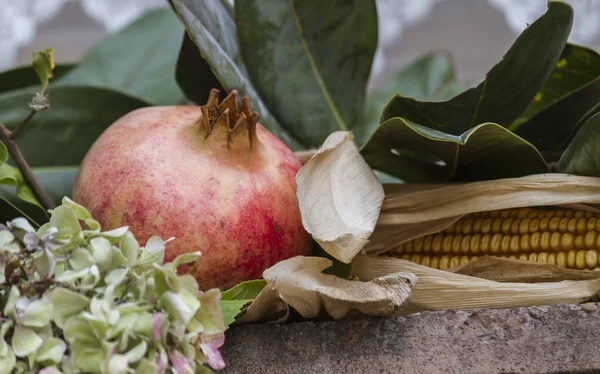 Granatäpple och torkad hortensia — Stockfoto