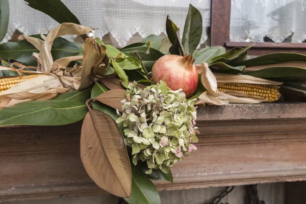 Granada y hortensias secas —  Fotos de Stock