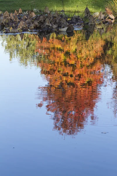 Besinnung auf den See im Herbst — Stockfoto