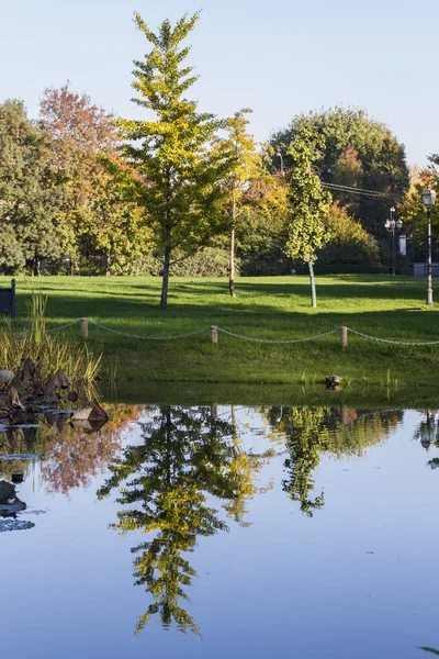 Reflexão sobre o lago no outono — Fotografia de Stock