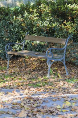 Sonbahar bahçesinde tezgah