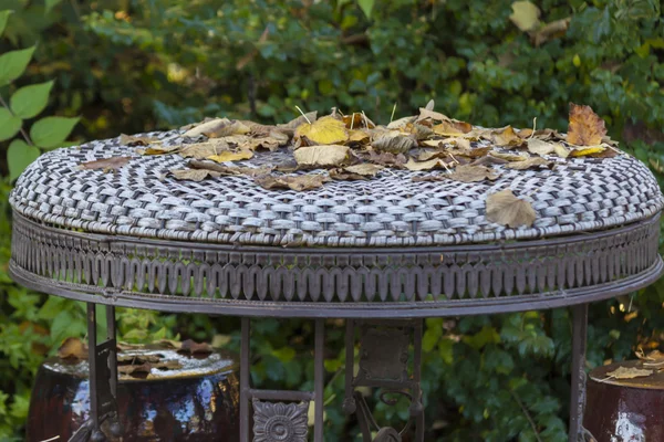Hojas en otoño en el jardín —  Fotos de Stock