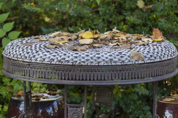 Bladeren in de herfst in de tuin — Stockfoto