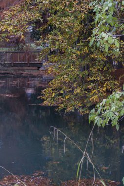 Göl kenarında sonbahar yansıma