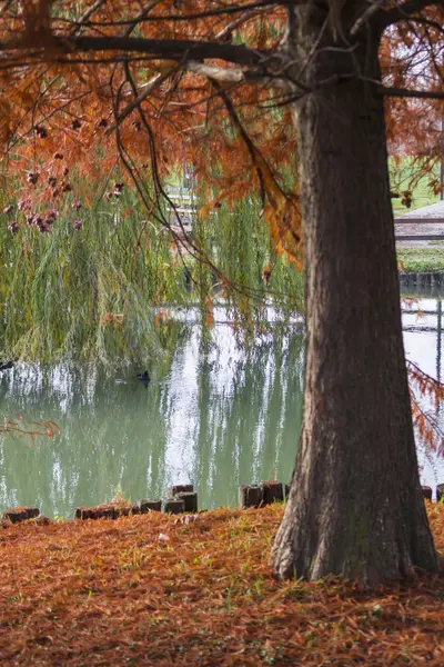 Besinnung auf den See im Herbst — Stockfoto