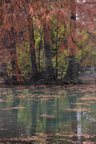 Riflessione sul lago in autunno — Foto Stock