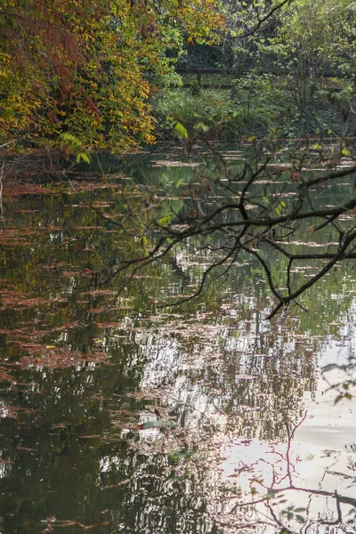 Refleksja nad jeziora jesienią — Zdjęcie stockowe