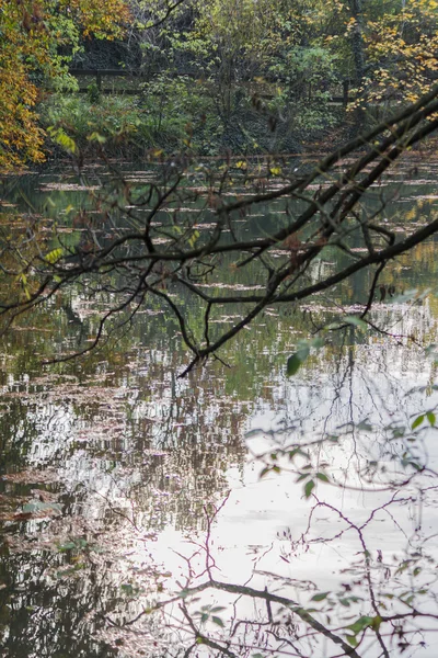 Refleksja nad jeziora jesienią — Zdjęcie stockowe