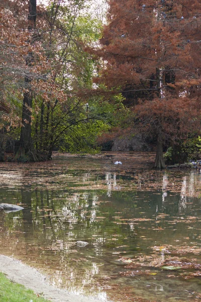 Riflessione sul lago in autunno — Foto Stock