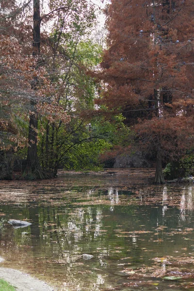 Reflexão sobre o lago no outono — Fotografia de Stock