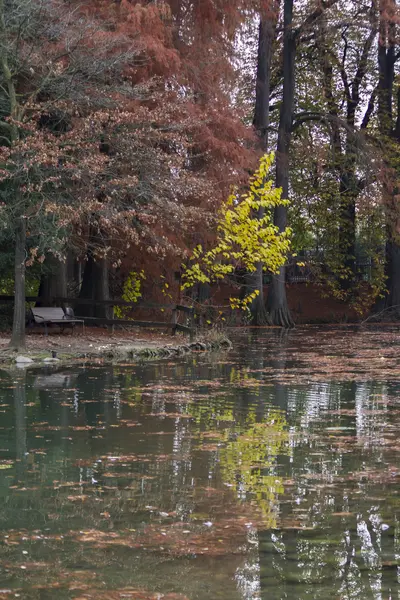 Riflessione sul lago in autunno — Foto Stock