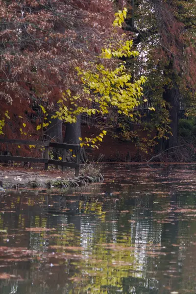 Reflexión sobre el lago en otoño —  Fotos de Stock