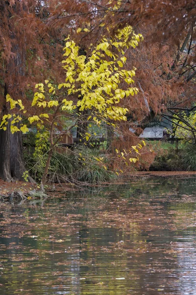 Riflessione sul lago in autunno — Foto Stock