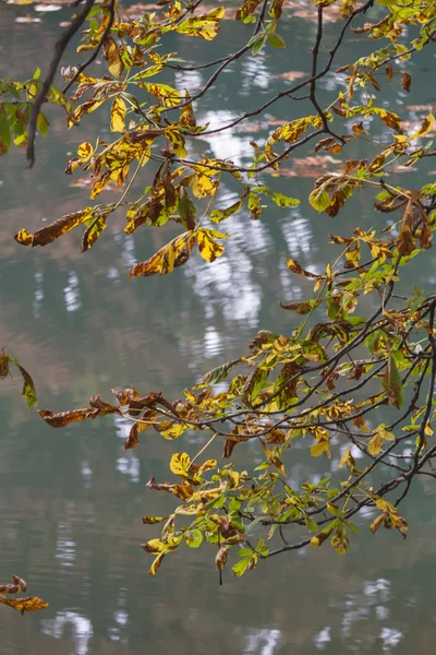 Besinnung auf den See im Herbst — Stockfoto