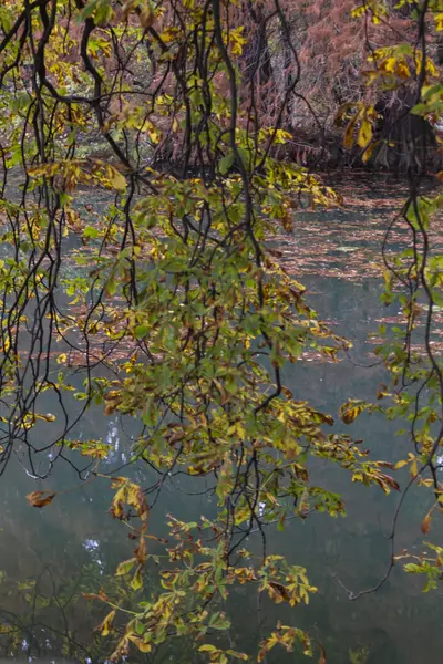Reflektion på sjön på hösten — Stockfoto