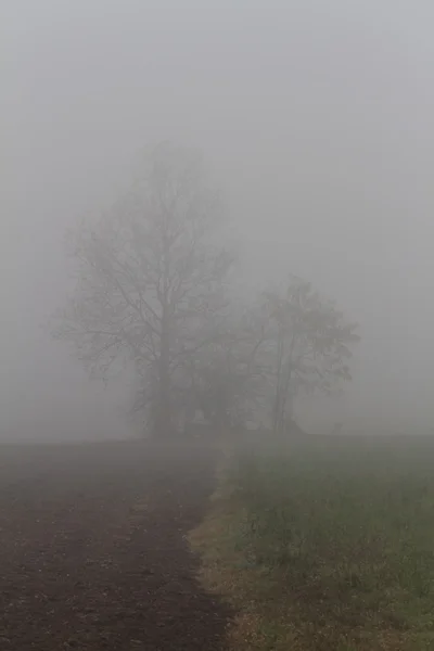 Πεδίο στην ομίχλη — Φωτογραφία Αρχείου