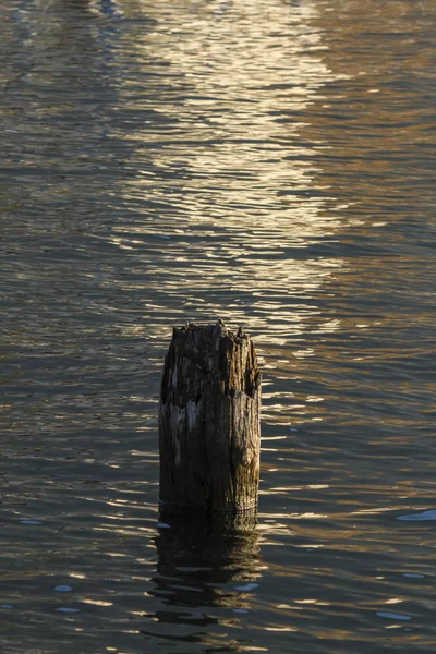 Refleksja nad jeziorem — Zdjęcie stockowe
