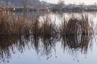 günbatımı manzara gölde