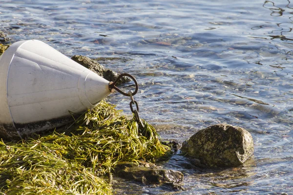 Buoy on  lake — Stock Photo, Image