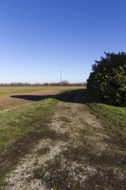 Kışın dağlık manzara