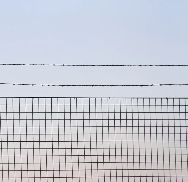 Barbed wire as background — Stock Photo, Image