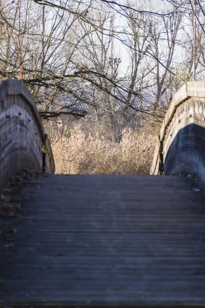 Деревянный мост на озере — стоковое фото