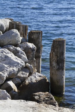 Peyzaj göl kışın