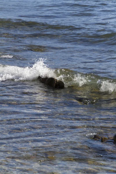 Ondas no lago — Fotografia de Stock