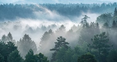 Urallar 'daki ulusal bir parkta sisli bir gün doğumu
