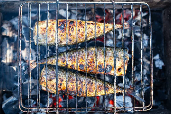 Grillezett Hal Grillen — Stock Fotó