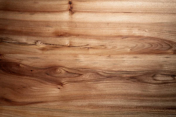 Wood Texture Elm Close — Stock Photo, Image