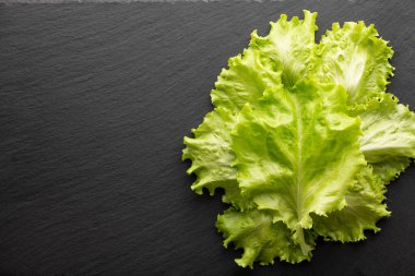 Siyah taş zemin üzerinde marul yaprağı, üst görünüm, metin için yer