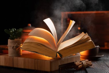 Sihirli bir kitapla gizemli bir hayat. Sis kitabın üzerine yükseliyor. Kitaptaki metin okunabilir değil.