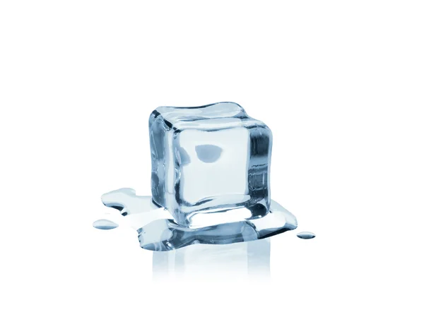 Fresco como gelo — Fotografia de Stock
