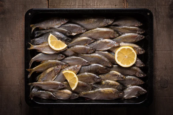 Freshwater fish with lemon pieces — Stock Photo, Image