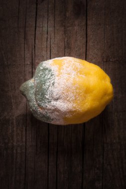 Çürümüş sarı limon