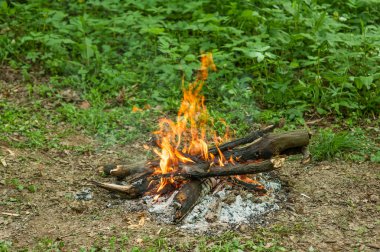 Outdoor fire in the spring forest clipart