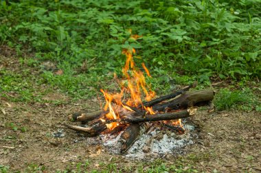 Açık bahar orman yangında