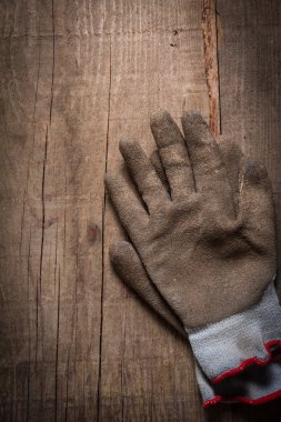 Bir çift iş eldiveni