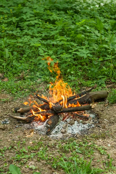 Outdoor fire in the spring forest