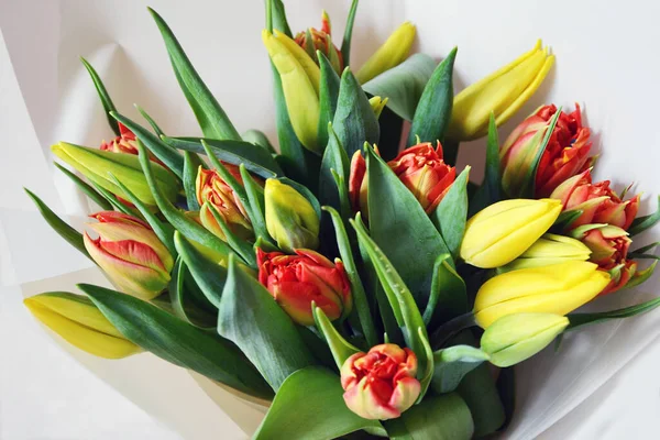 Taze kırmızı ve sarı laleler bir bukette, beyaz kağıda odaklanmış.
