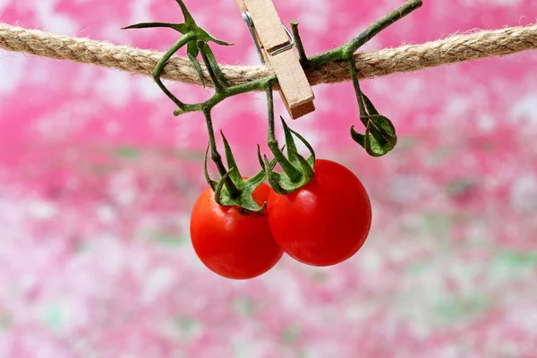 close-up red tomato with leaves