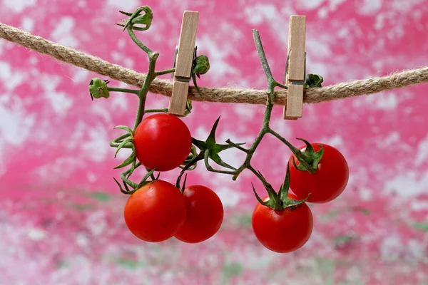 close-up red tomato with leaves