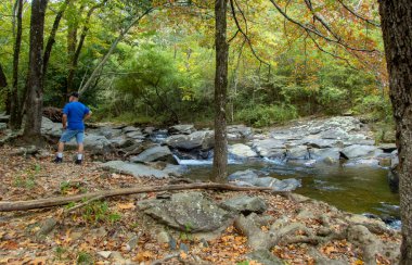 Kimliği belirsiz bir adam Arkansas 'ta küçük bir derenin yanında yürüyüş yaparken yapraklar değişmeye başlarken kısa bir süre dinleniyor. Hafif bokeh etkisi.
