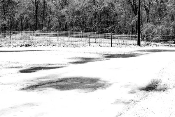 A pretty black and white landscape scene in rural Missouri on a cold winter day with snow and water puddles on the ground. Bokeh effect.