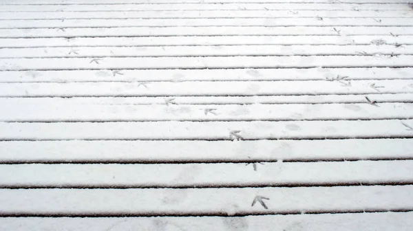 Der Weiße Schnee Auf Dem Hinterhofdeck Missouri Hielt Die Fußabdrücke — Stockfoto