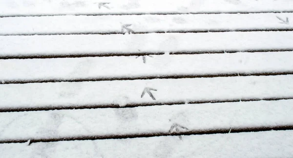 Eine Nahaufnahme Von Hühnerspuren Auf Einem Schneebedeckten Deck Missouri Die — Stockfoto